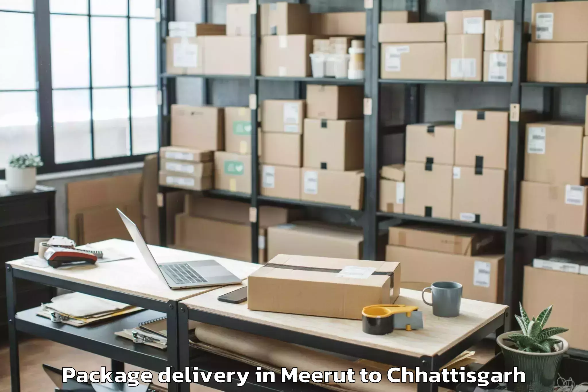 Affordable Meerut to Ramanuj Ganj Package Delivery